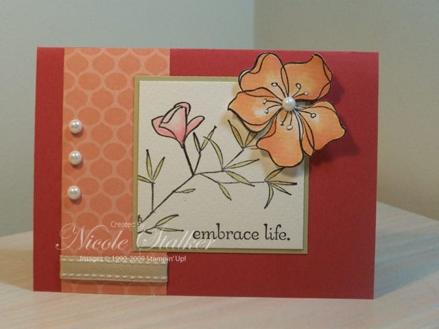 I finally did it…….WooHoo