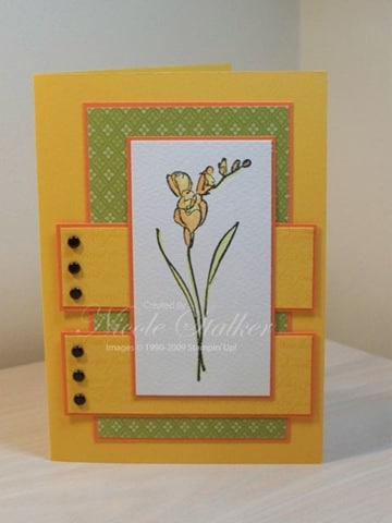 My sunglasses card…