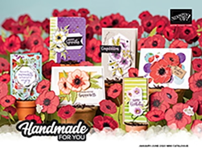 The New Mini Catalogue is here!!!