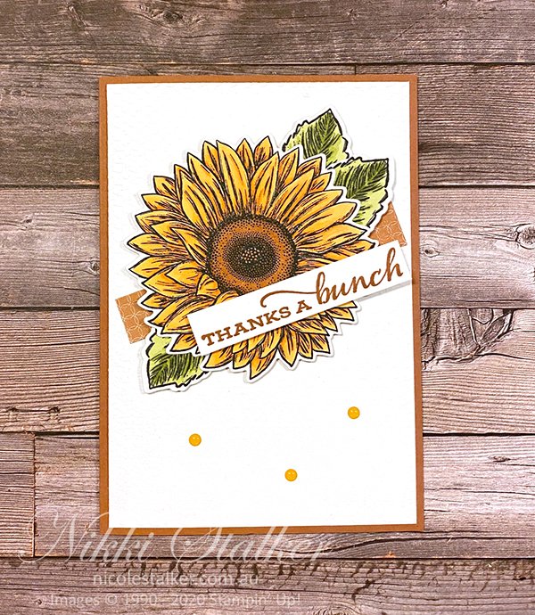 Celebrate Sunflowers 2