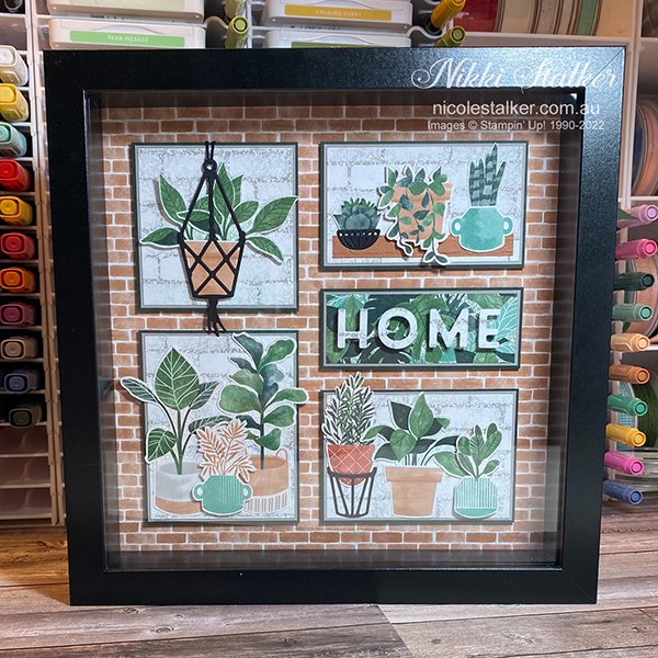 Plentiful Plants Shadow Box Shadow box using with Plant images