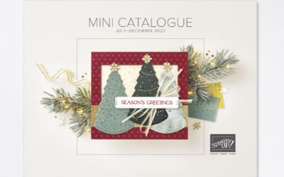 Mini Catalogue & SAB Launch Day