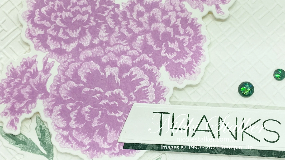 Marigold Moments 1 FI