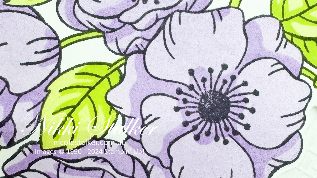 Enduring Beauty FI Enduring Beauty FI